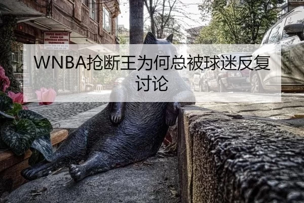 WNBA抢断王为何总被球迷反复讨论 - leyu